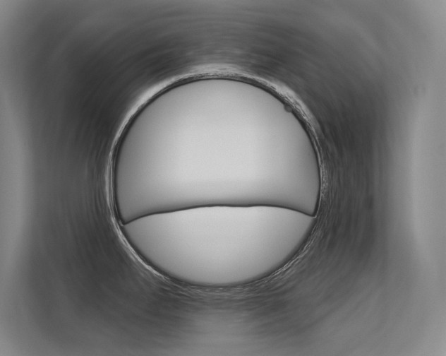 X0000112391295200908131336