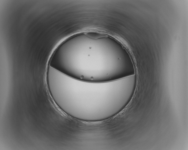 X0000112391296200908131336
