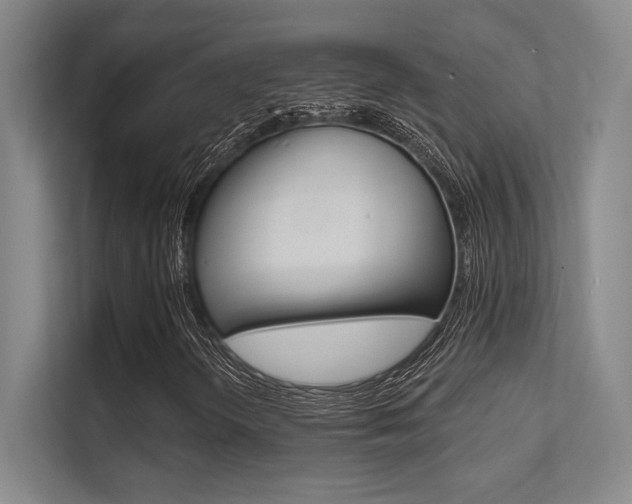 X0000112391298200908131335