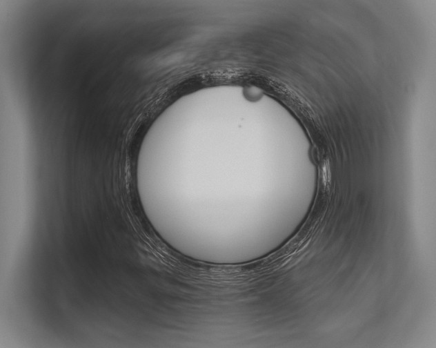 X0000112391299200908131335