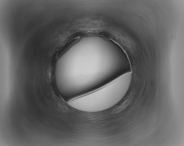 X0000112391300200908131335