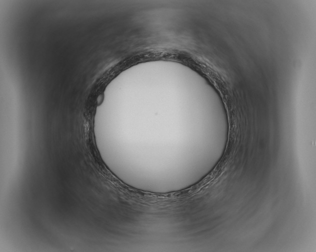 X0000112391302200908131336