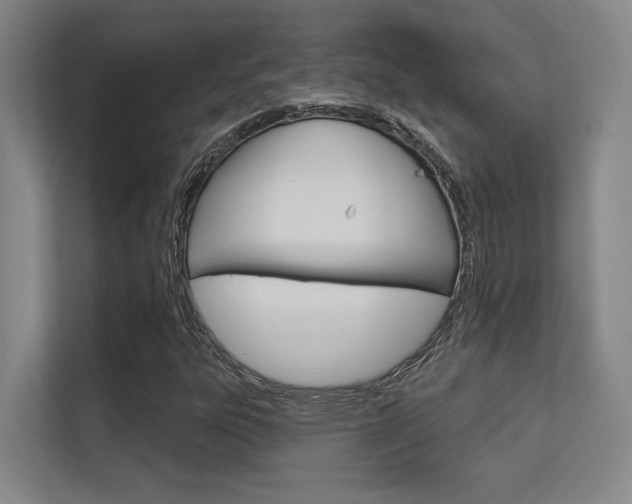 X0000112391303200908131336