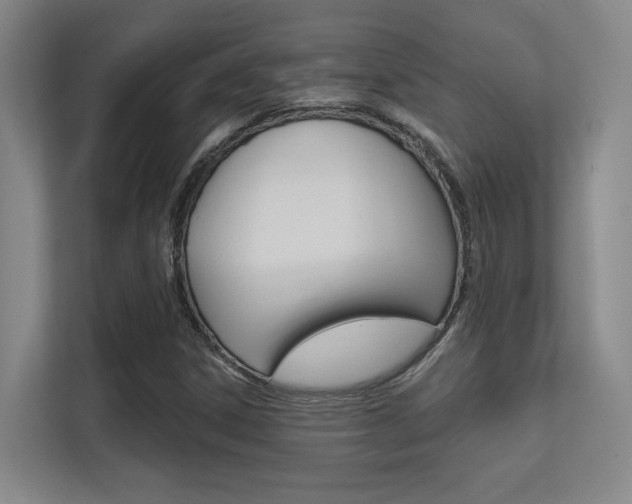 X0000112391306200908131336