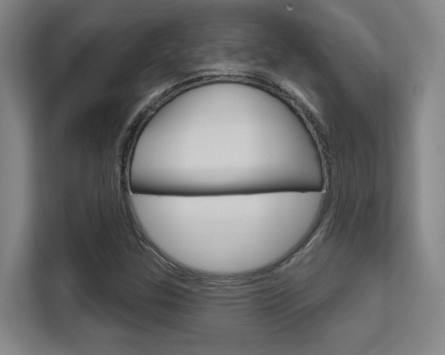 X0000112391307200908131336