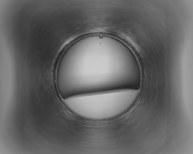 X0000112391308200908131336