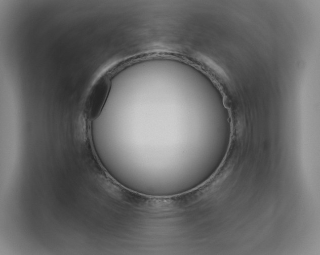 X0000112391310200908131336