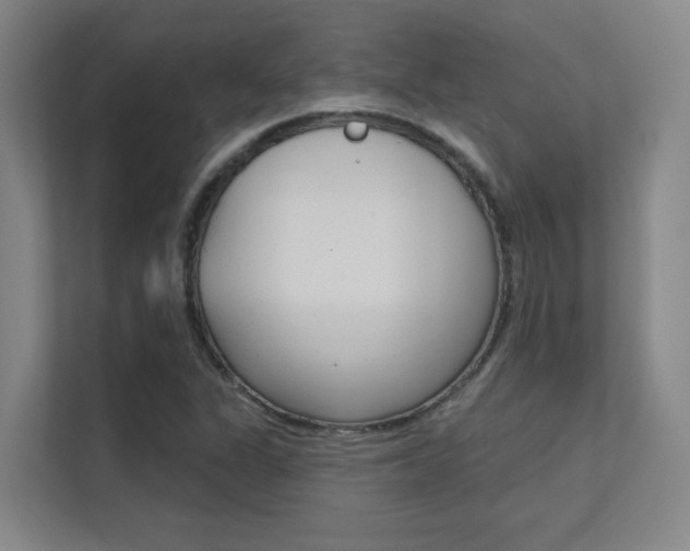 X0000112391311200908131336