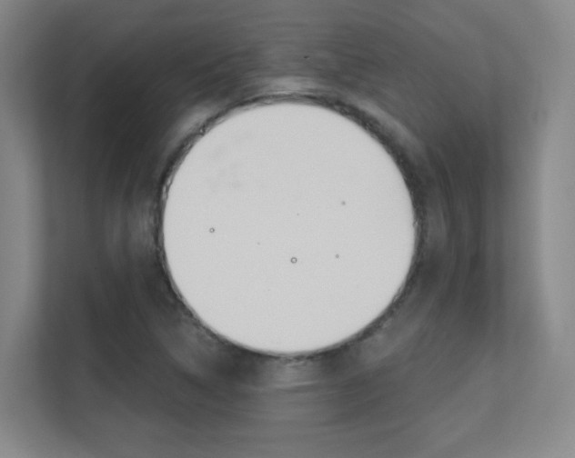 X0000112391314200908131336