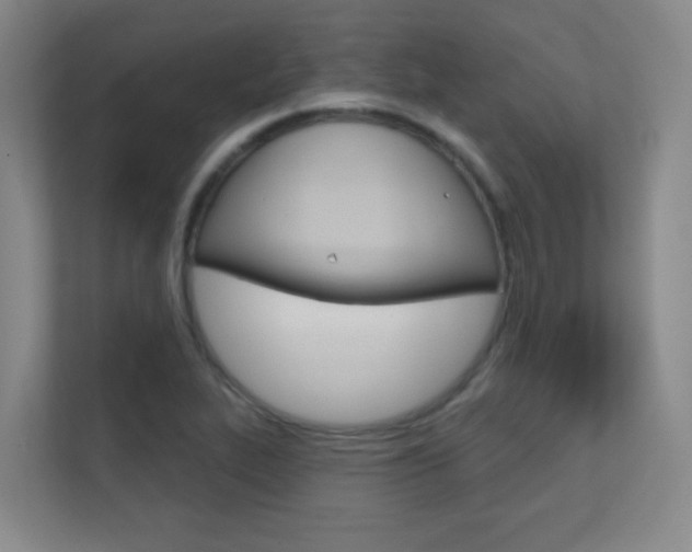 X0000112391319200908131336