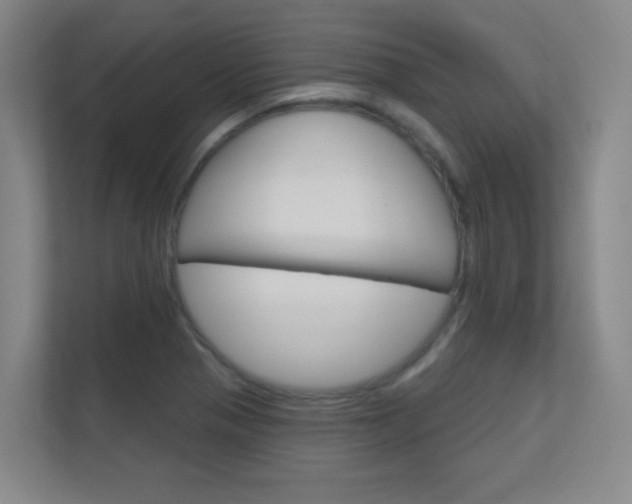 X0000112391321200908131336
