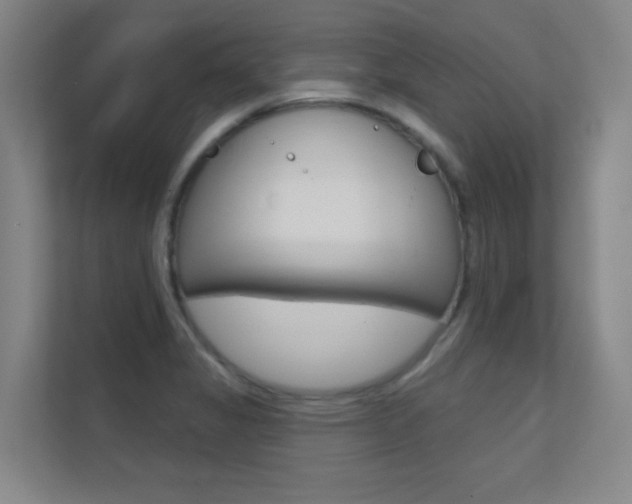 X0000112391325200908131336