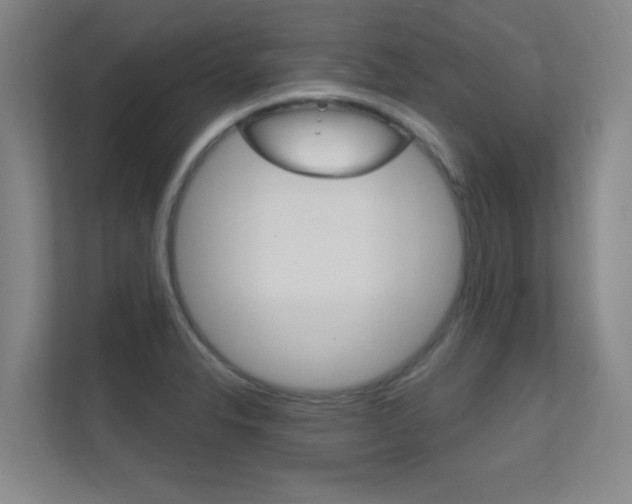 X0000112391326200908131336