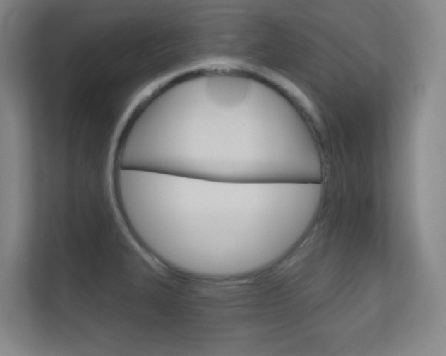 X0000112391327200908131336