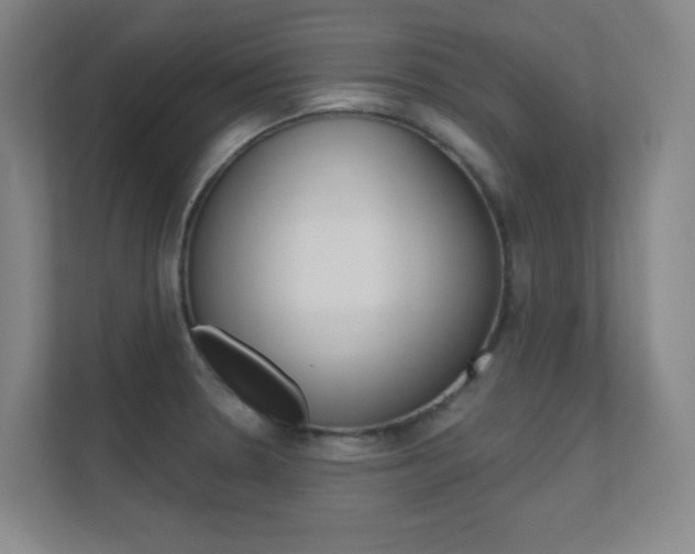 X0000112391330200908131336