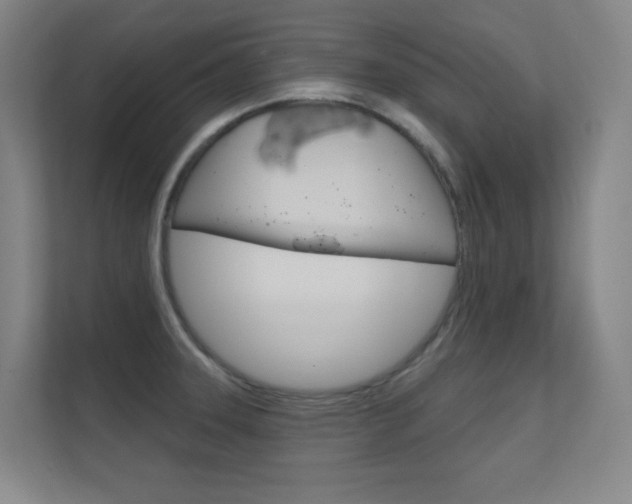 X0000112391331200908131336