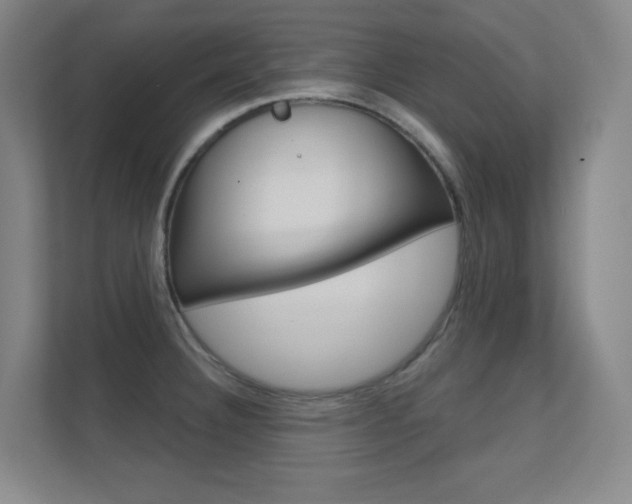 X0000112391332200908131336