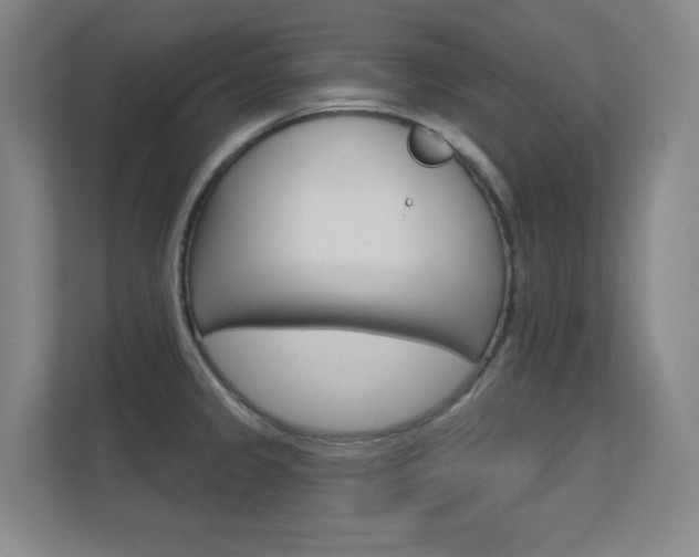 X0000112391333200908131336