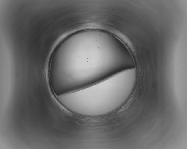 X0000112391334200908131336
