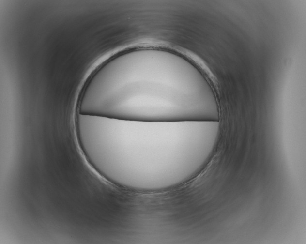 X0000112391335200908131336