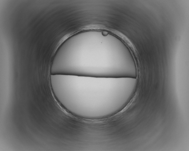 X0000112391337200908131336