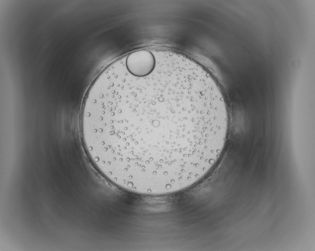 X0000112391338200908131336
