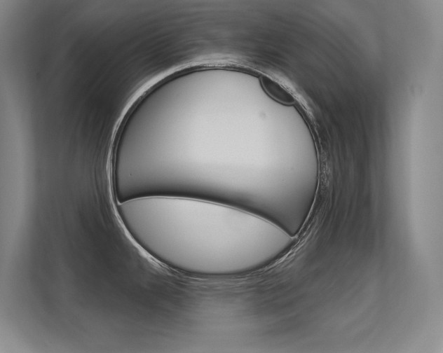 X0000112391343200908131336