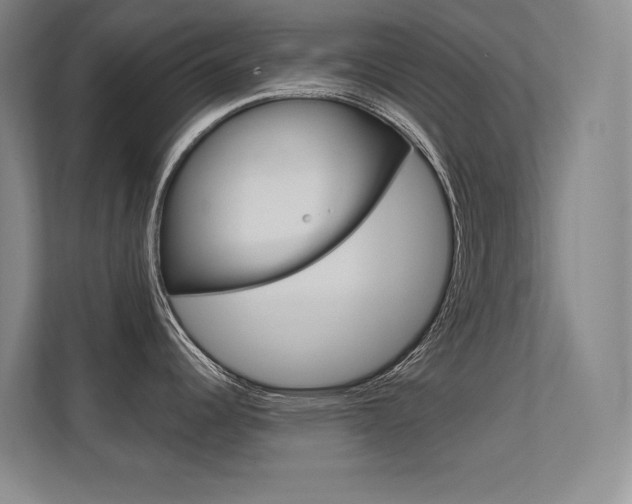 X0000112391344200908131336