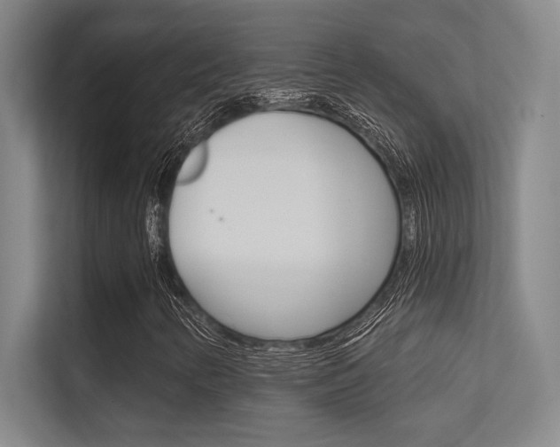 X0000112391346200908131335