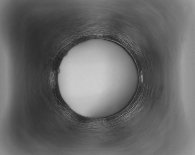 X0000112391347200908131335