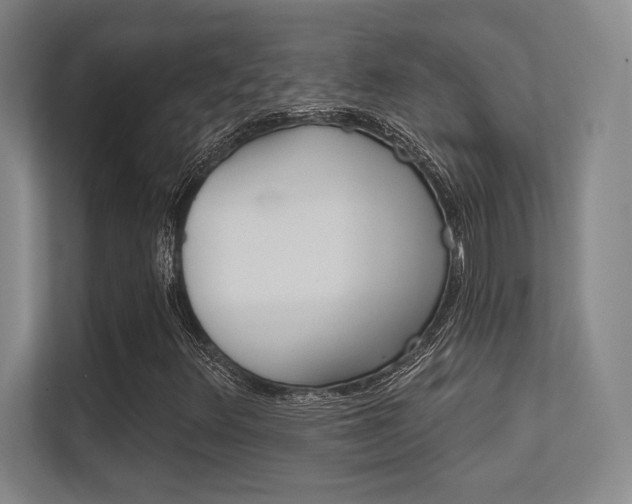 X0000112391348200908131335