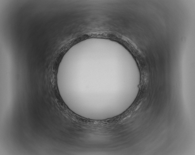 X0000112391350200908131335