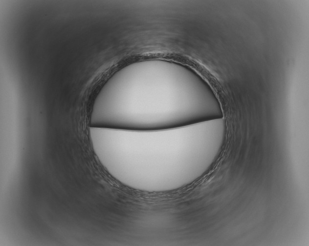 X0000112391351200908131335