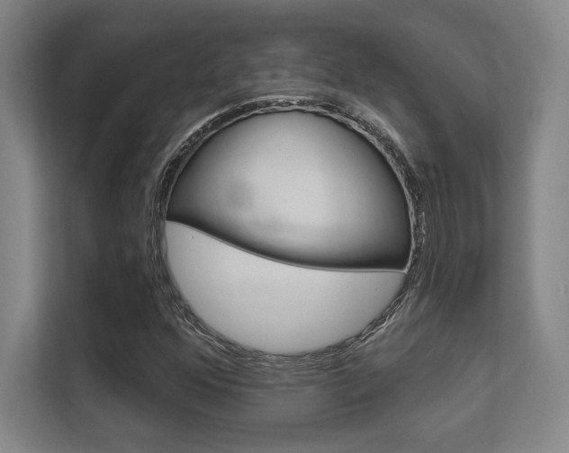 X0000112391352200908131335