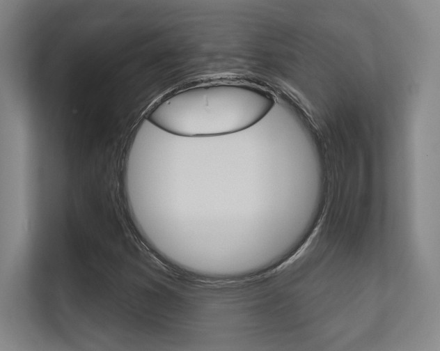 X0000112391353200908131335