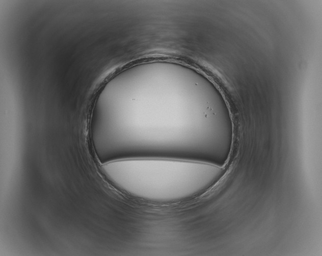X0000112391355200908131335