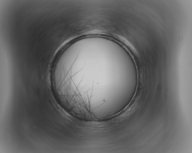 X0000112391356200908131335