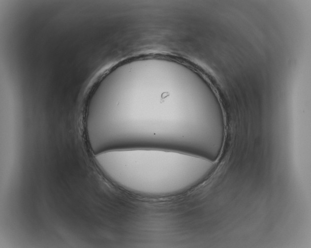 X0000112391359200908131335