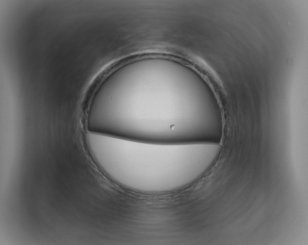 X0000112391360200908131335