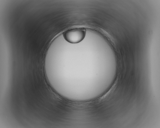 X0000112391361200908131335