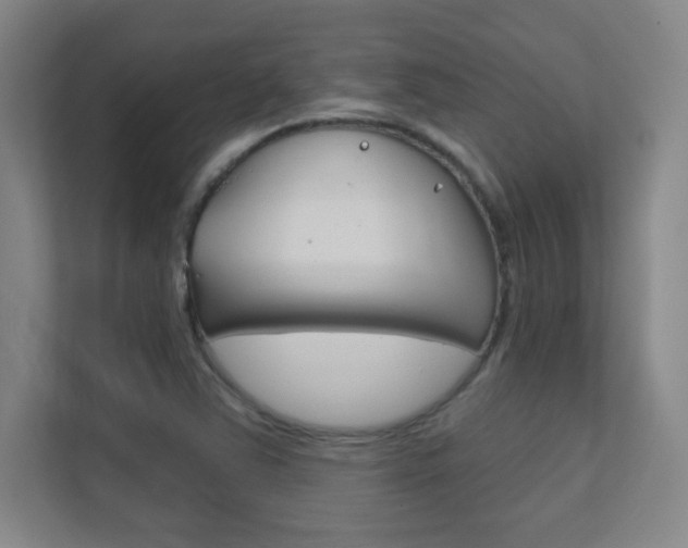 X0000112391363200908131335