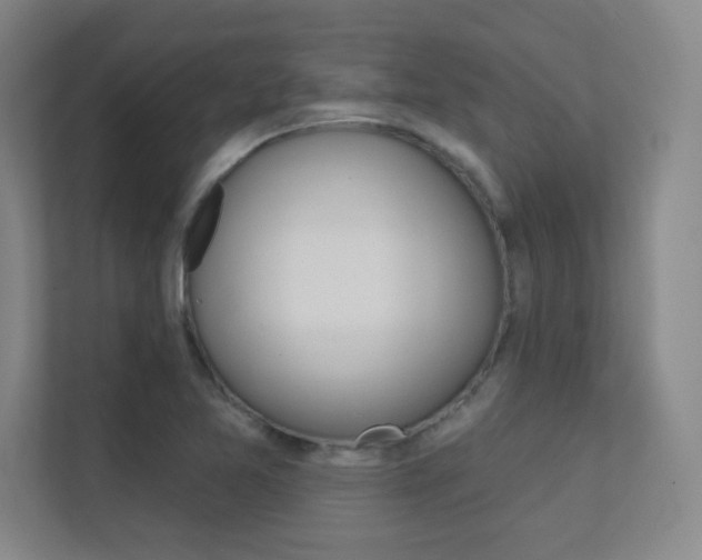 X0000112391365200908131335