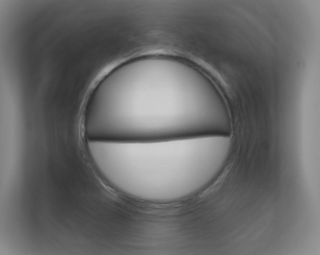 X0000112391367200908131335