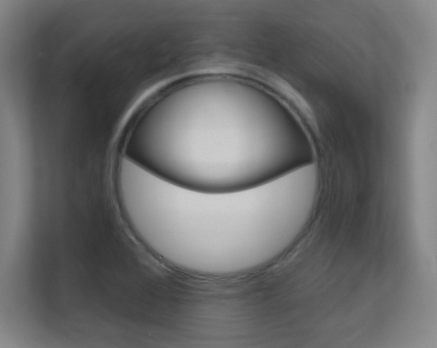 X0000112391368200908131335