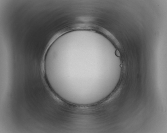 X0000112391370200908131335