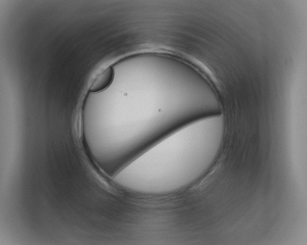 X0000112391371200908131335