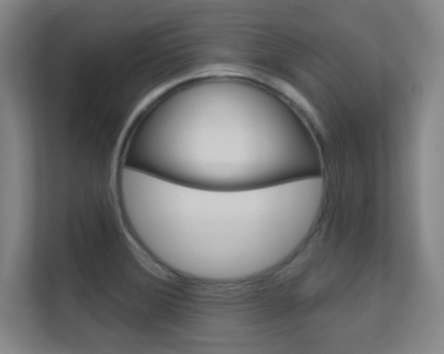 X0000112391372200908131335