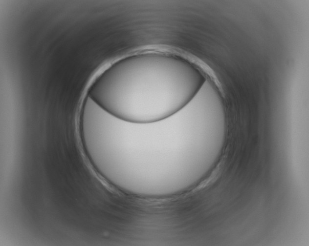 X0000112391373200908131335