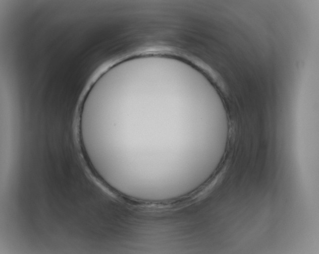 X0000112391374200908131335