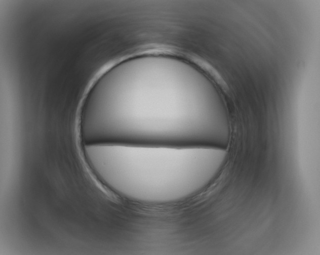 X0000112391375200908131335